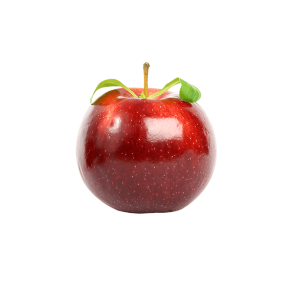 ⁦Branch Apple⁩ - الصورة ⁦2⁩