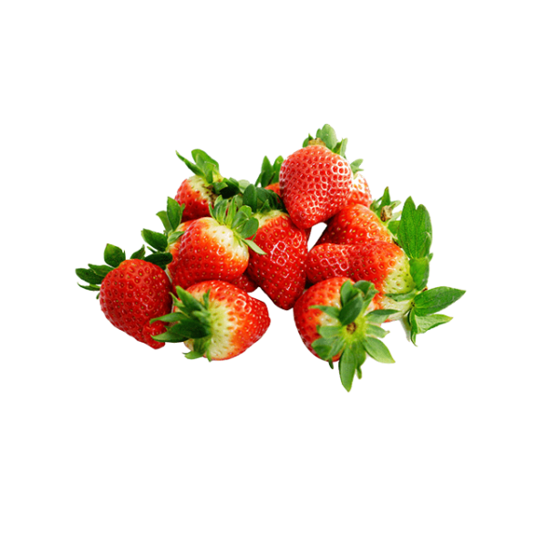 ⁦OLT Strawberry⁩ - الصورة ⁦3⁩